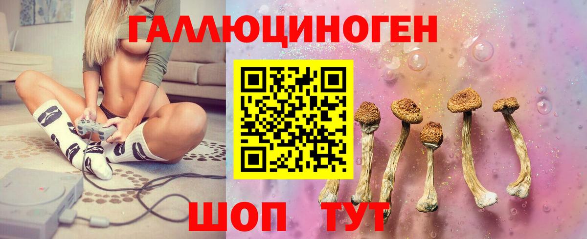 Гулькевичи  Галлюциногенные грибы Cubensis  Вход с VPN 