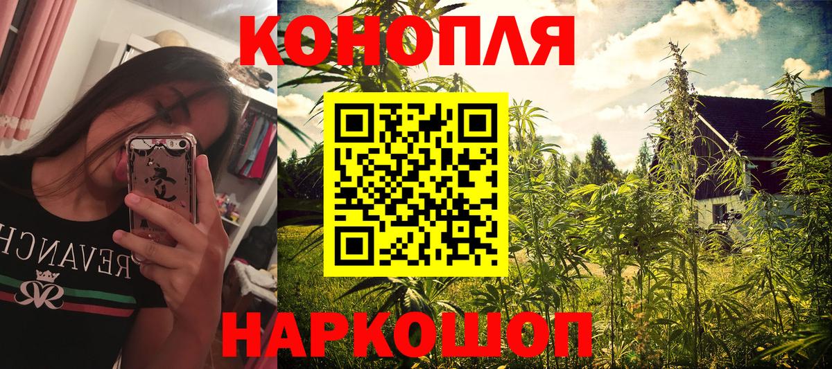 Каннабис семена  Каннабис гибрид  Конопля Ganja  Гулькевичи  Вход с VPN 